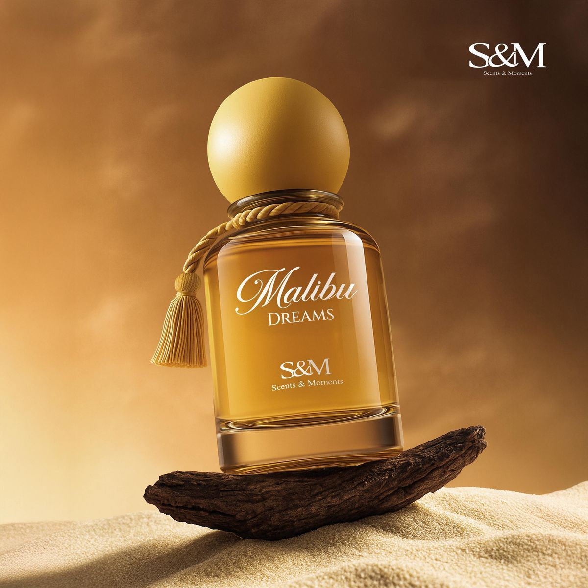 MALIBU DREAMS | EXTRAIT